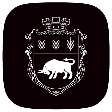 Герб міста Турківської громади
